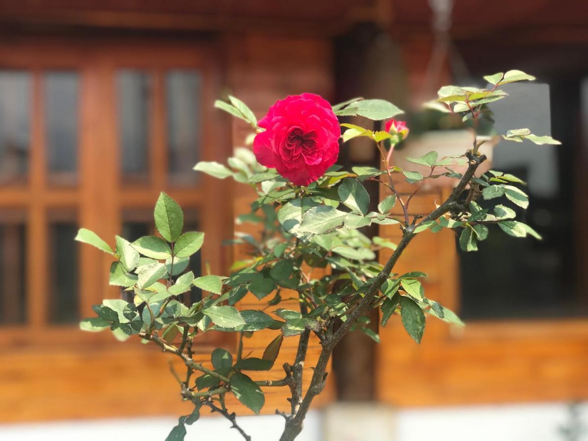 Ta Van Family Homestay Шапа Екстер'єр фото